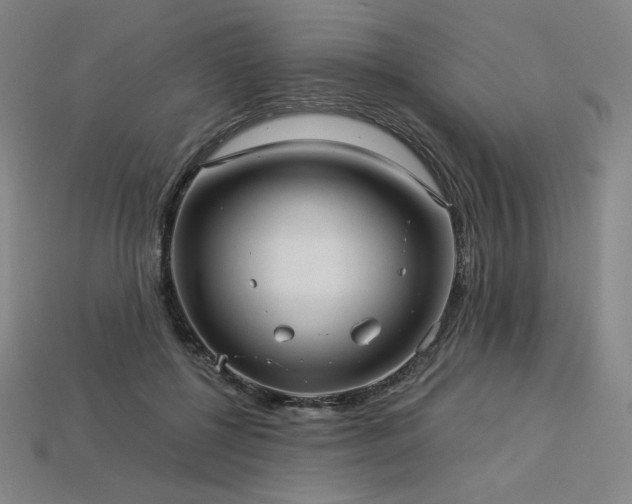 X0000113960552200909251402