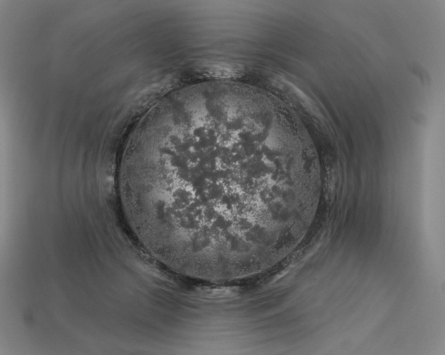 X0000113960553200909251402