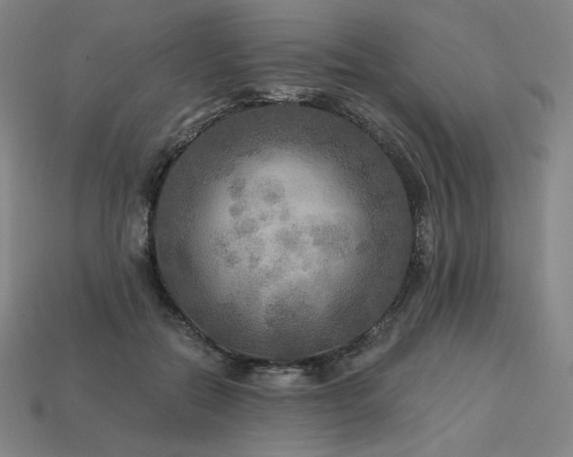 X0000113960554200909251402