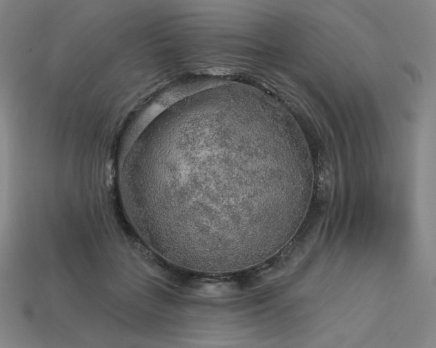 X0000113960555200909251402