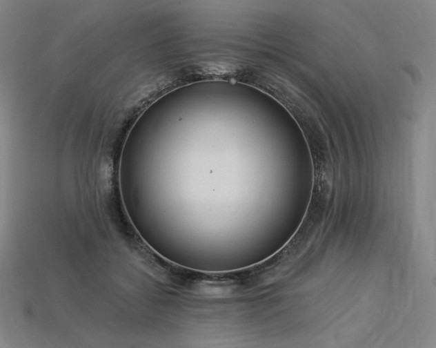 X0000113960556200909251402