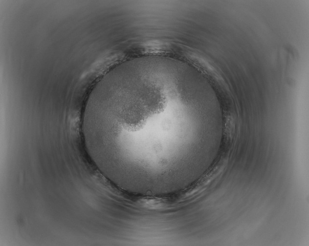 X0000113960557200909251402