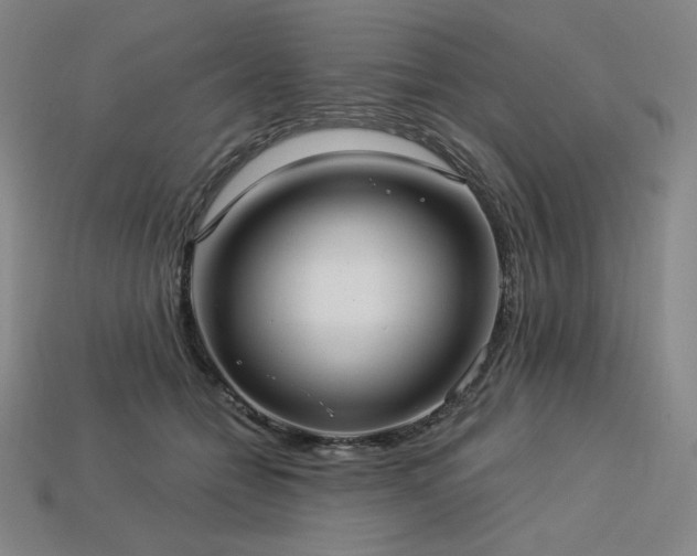 X0000113960558200909251402