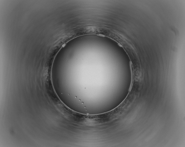 X0000113960560200909251402