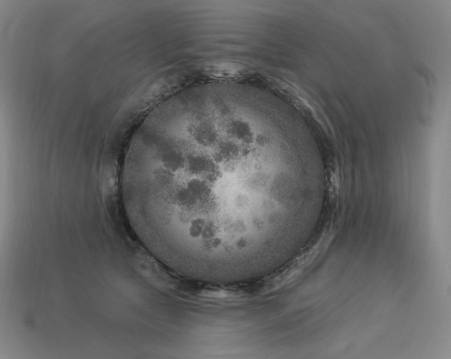 X0000113960561200909251402