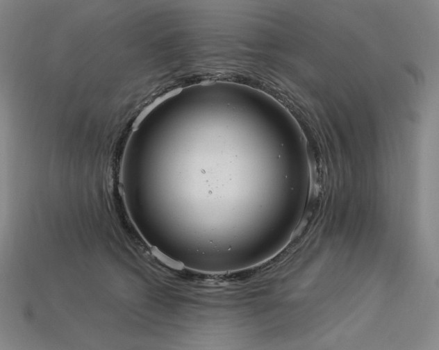 X0000113960562200909251402