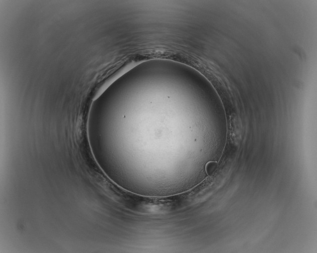 X0000113960563200909251402