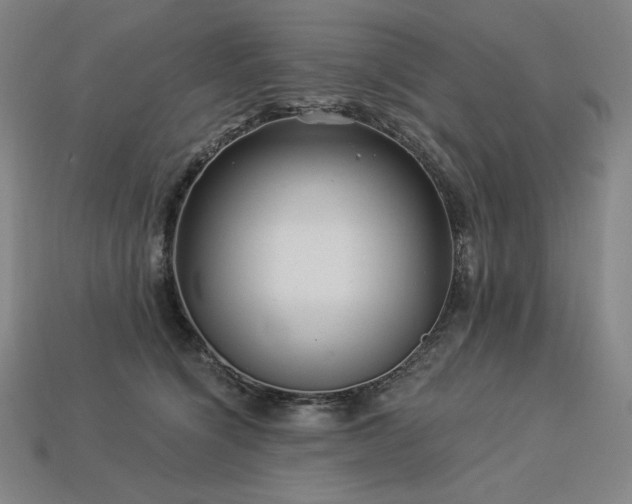 X0000113960564200909251402