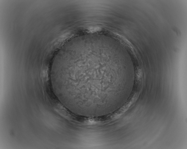 X0000113960565200909251402