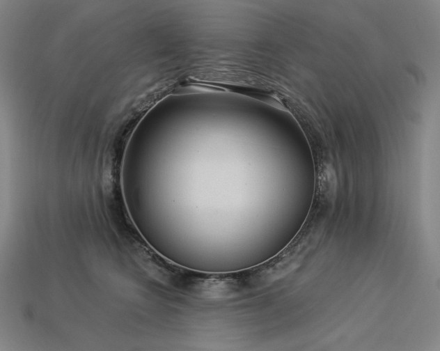 X0000113960566200909251403