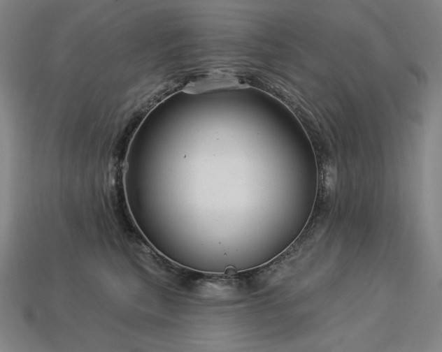 X0000113960567200909251403