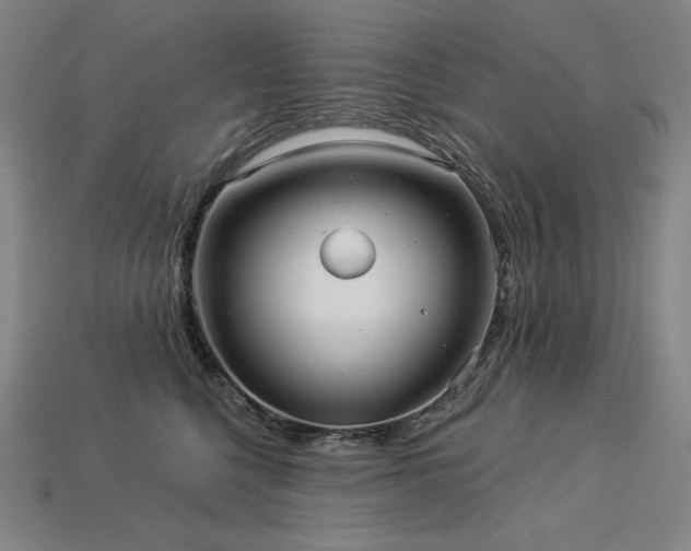 X0000113960568200909251403