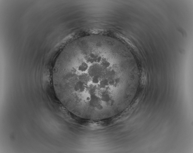 X0000113960569200909251403