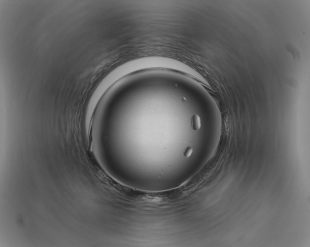 X0000113960570200909251403