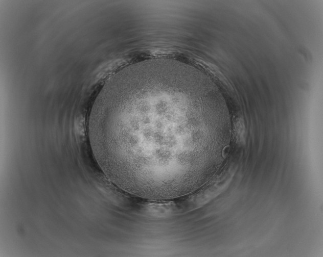 X0000113960571200909251403