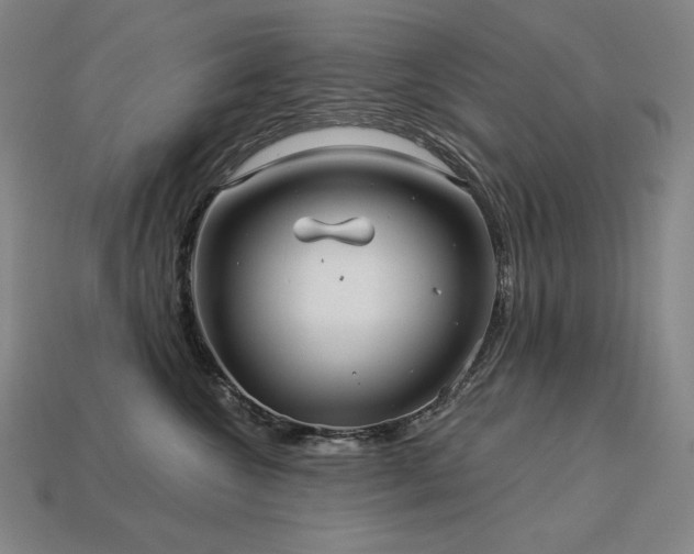 X0000113960572200909251403