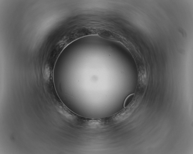 X0000113960574200909251403