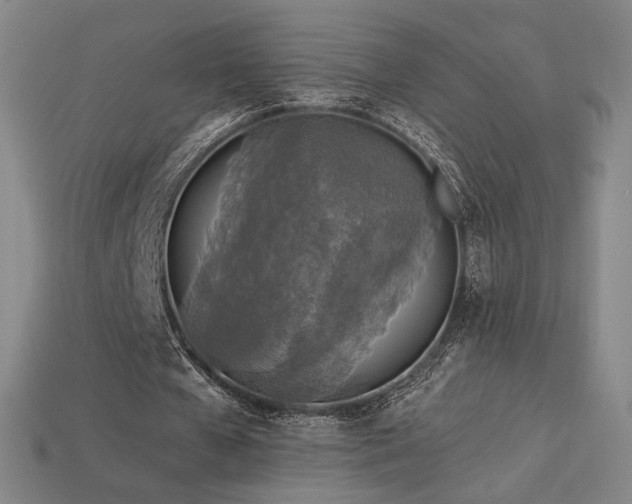 X0000113960577200909251402