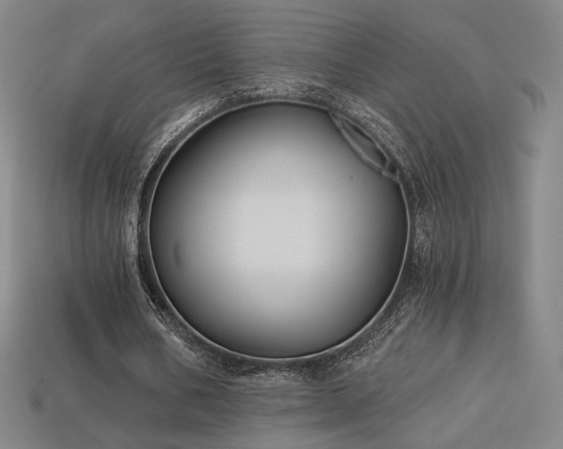 X0000113960578200909251402