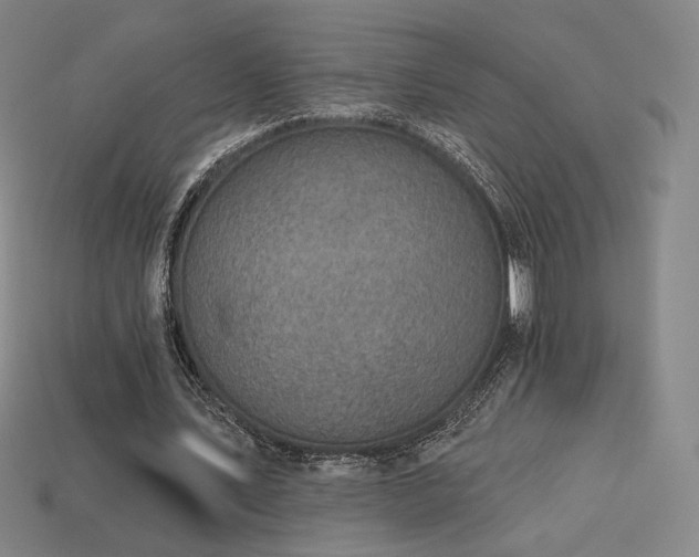 X0000113960579200909251402