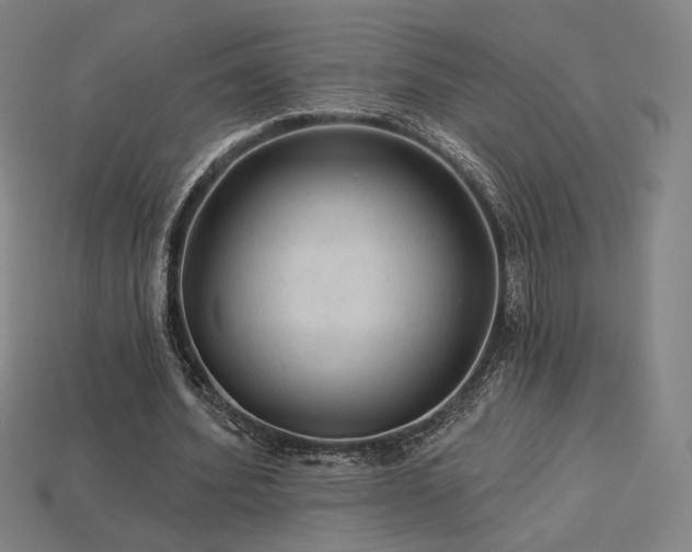 X0000113960580200909251402