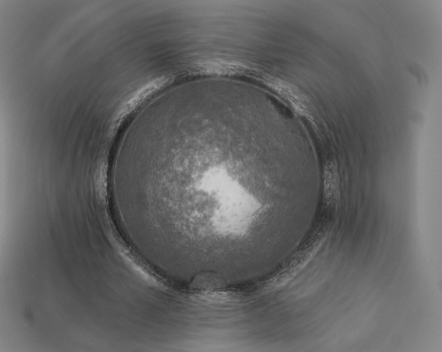 X0000113960581200909251402