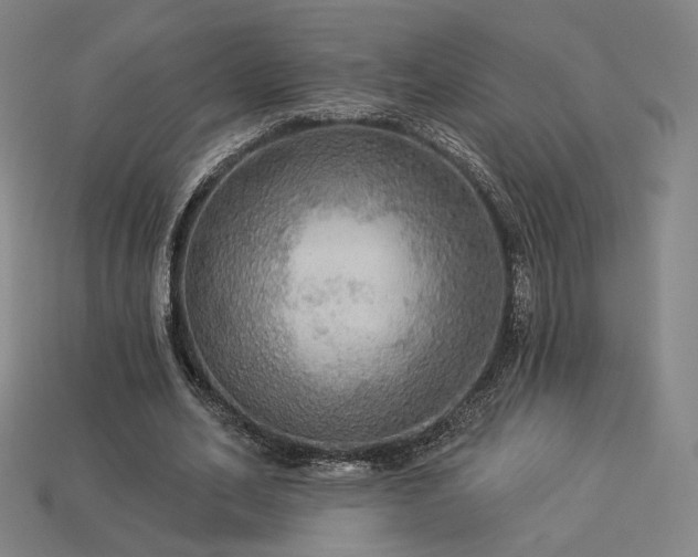 X0000113960582200909251402