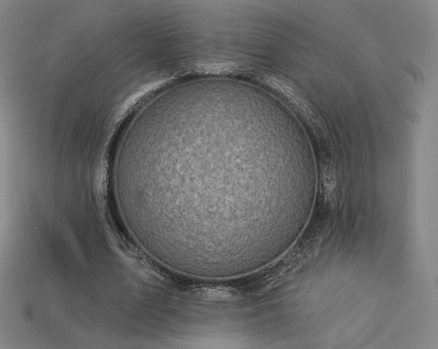 X0000113960583200909251402