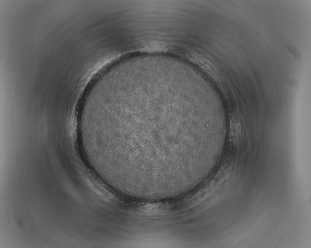 X0000113960584200909251402