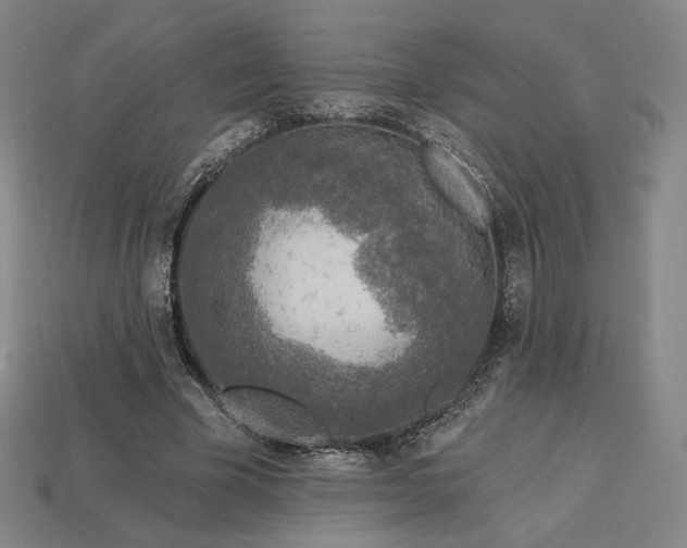 X0000113960585200909251402