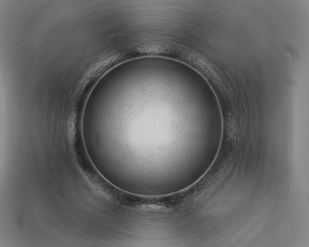 X0000113960586200909251402