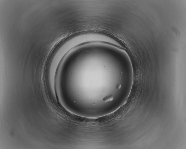 X0000113960587200909251402