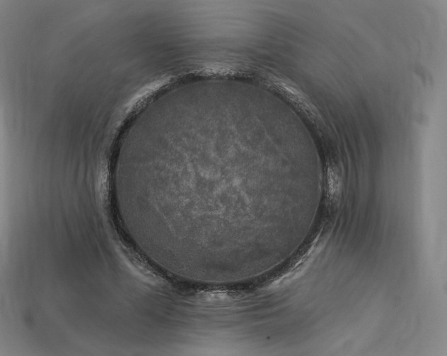 X0000113960588200909251402