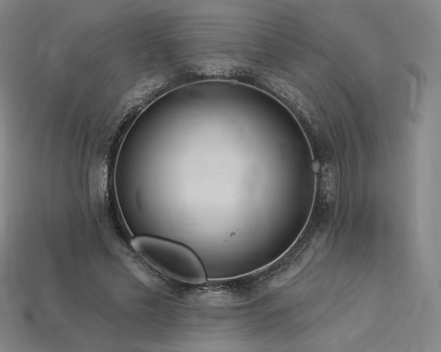 X0000113960589200909251402