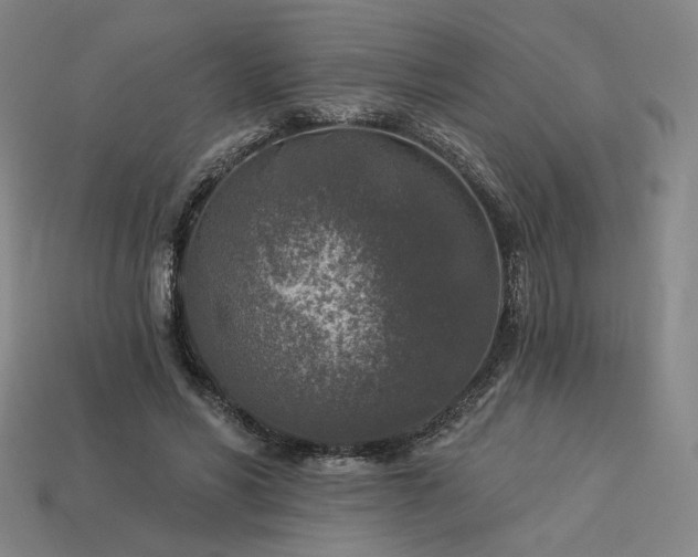 X0000113960590200909251402