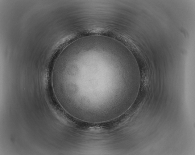 X0000113960591200909251402