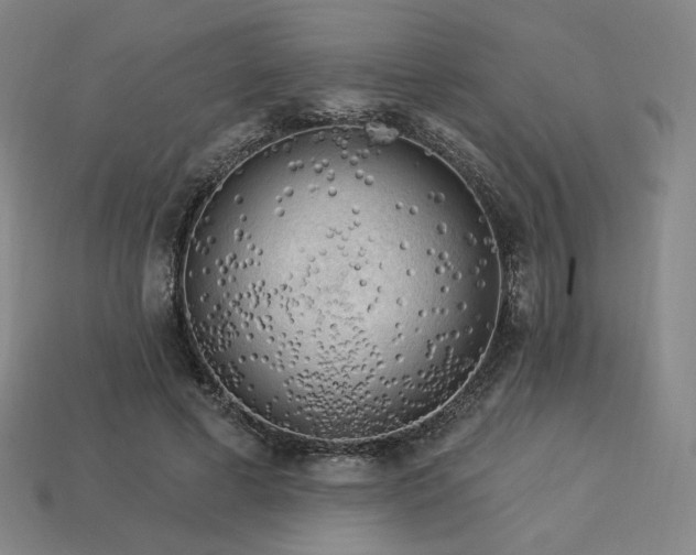 X0000113960593200909251402