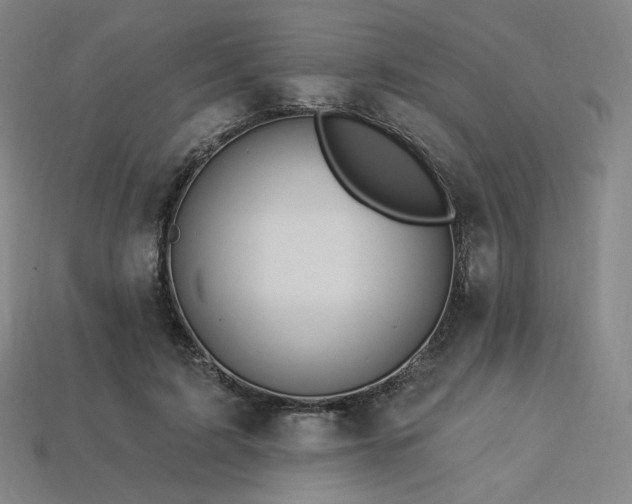 X0000113960595200909251402