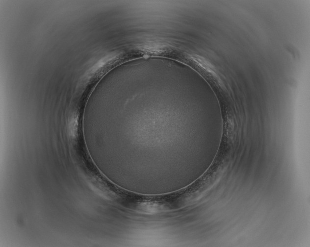 X0000113960596200909251402