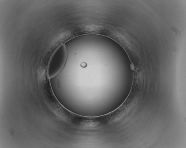 X0000113960597200909251402