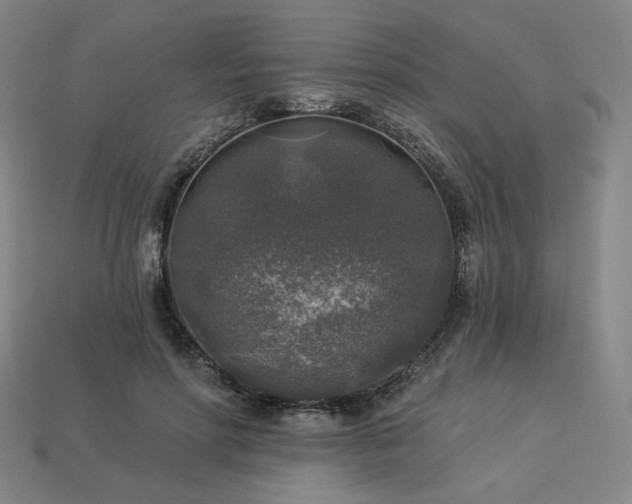 X0000113960598200909251402