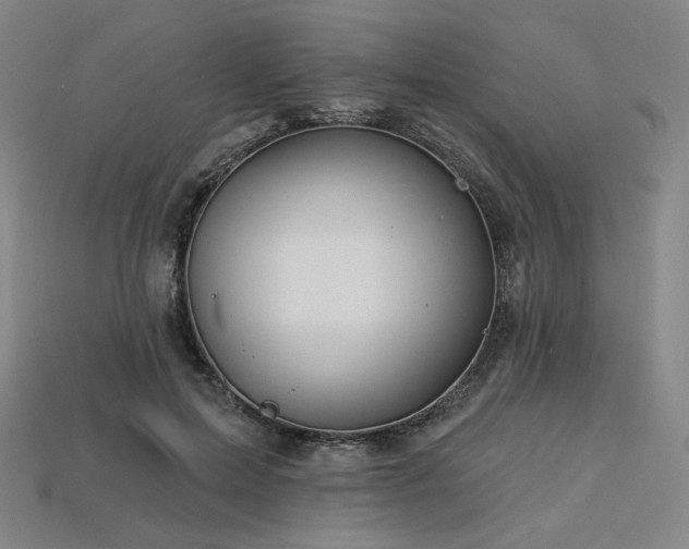 X0000113960599200909251402