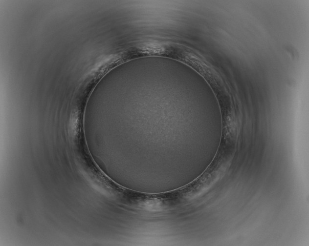 X0000113960600200909251402