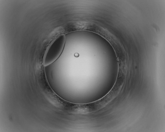 X0000113960601200909251402