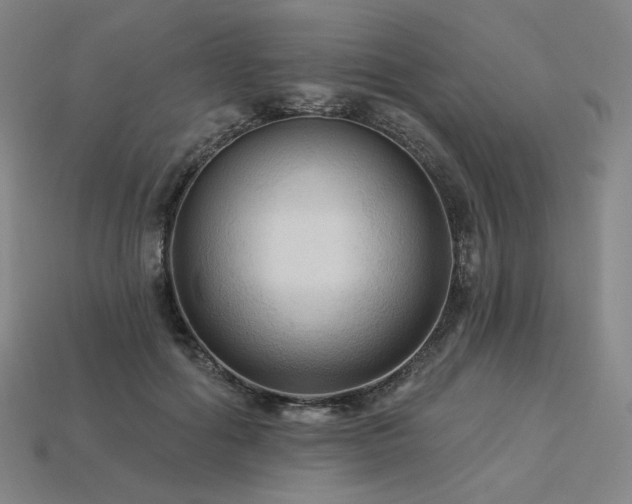 X0000113960602200909251402