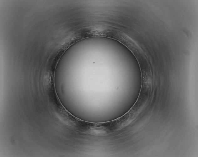 X0000113960603200909251402