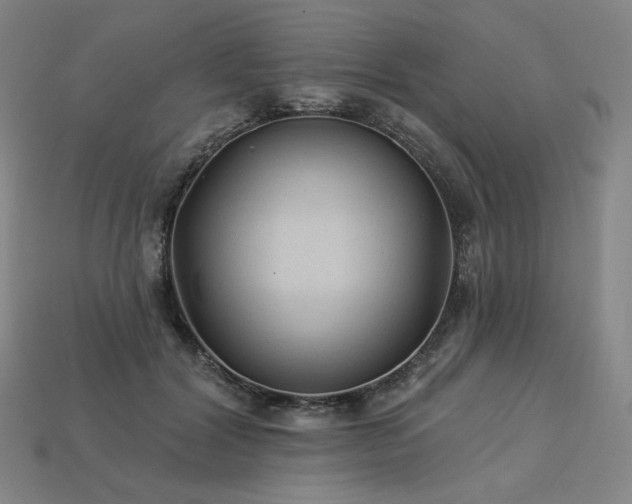 X0000113960604200909251402