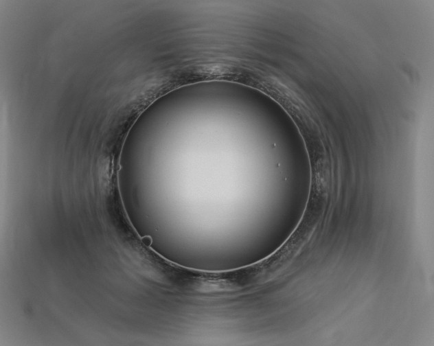 X0000113960605200909251402