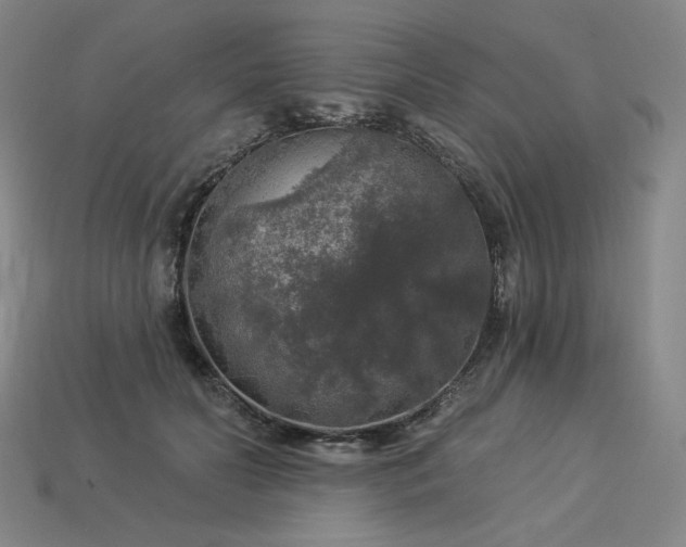 X0000113960606200909251402