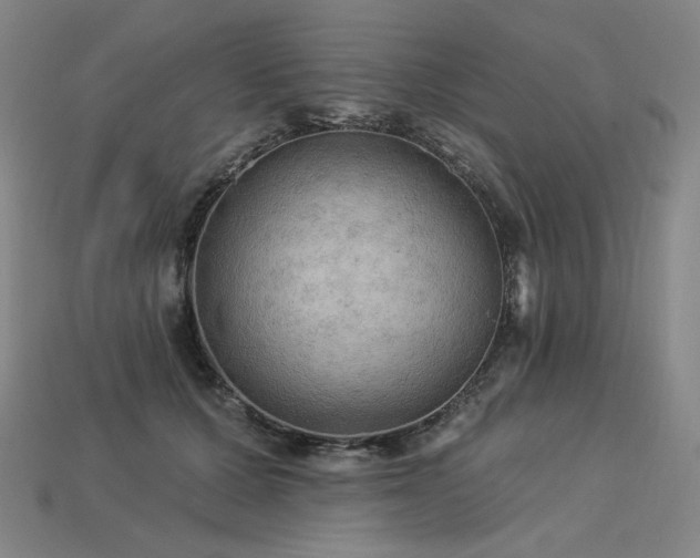 X0000113960607200909251402